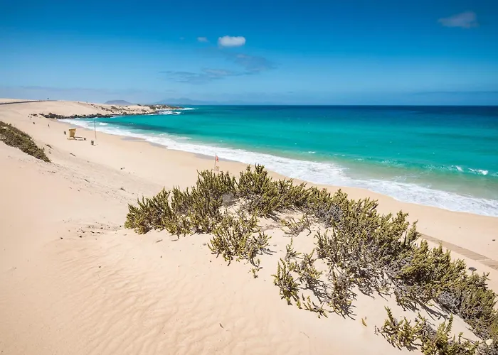 Home2Book Sunny Terrace & Pool Apt In Corralejo * Corralejo