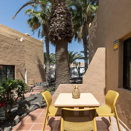 公寓 Home2Book Sunny Terrace & Pool Apt In Corralejo
